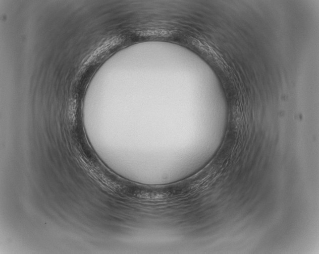 X0000085790735200704131854