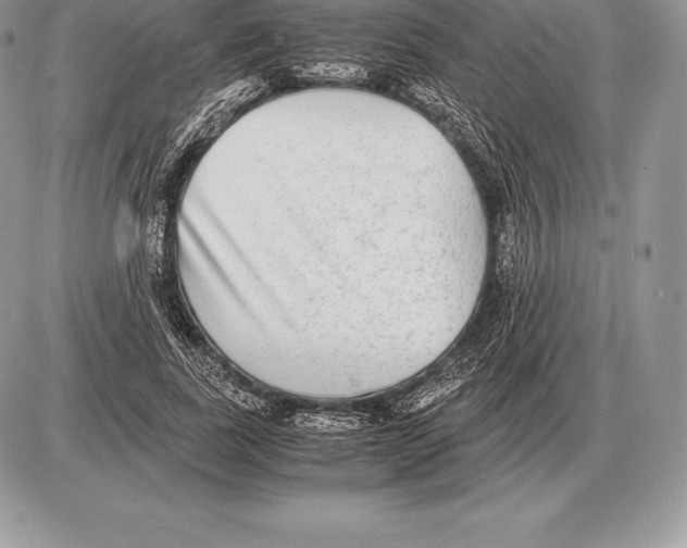 X0000085790739200704131854