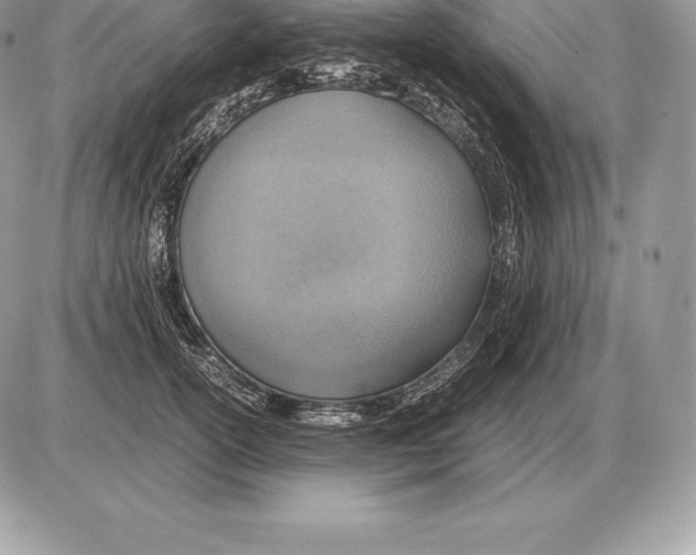 X0000085790754200704131854