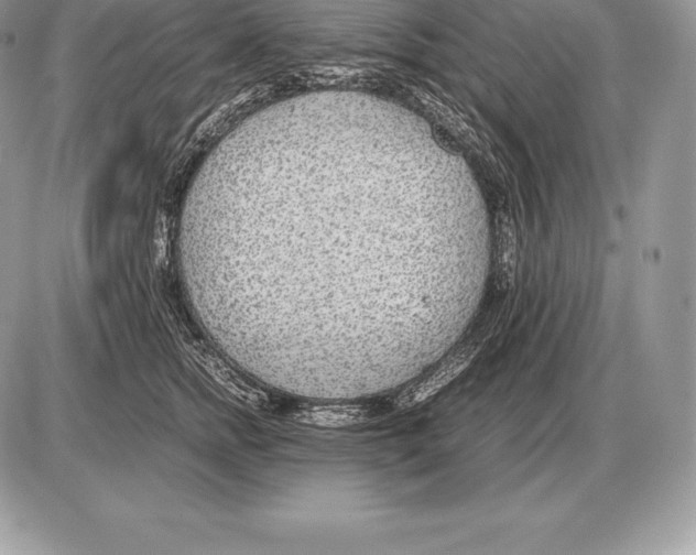 X0000085790758200704131854