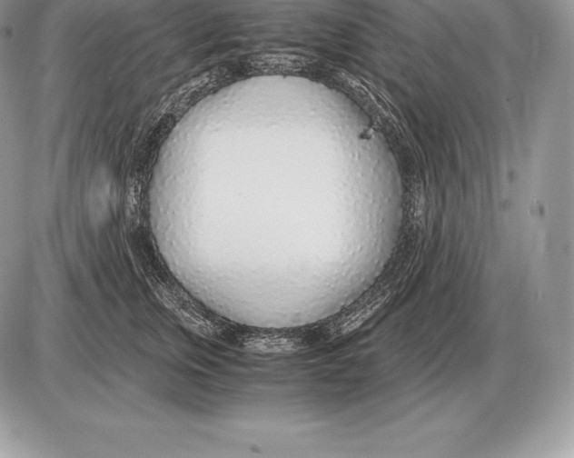 X0000085790759200704131854