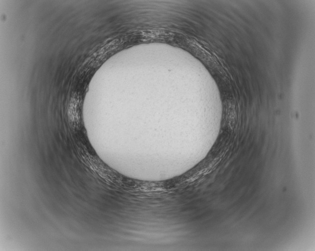 X0000085790770200704131854