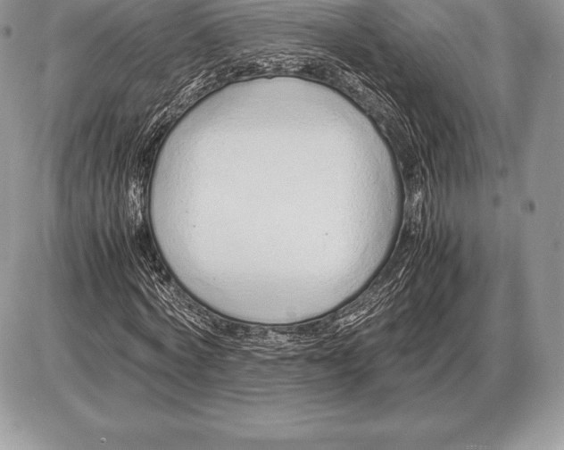 X0000085790772200704131854
