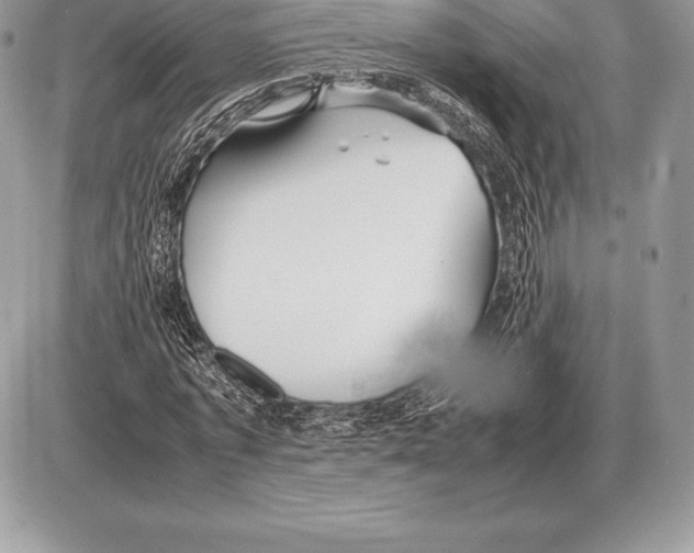 X0000085790773200704131854