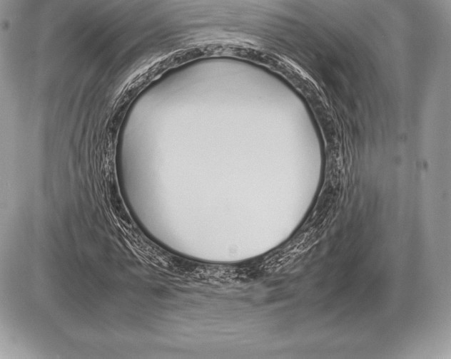 X0000085790775200704131853