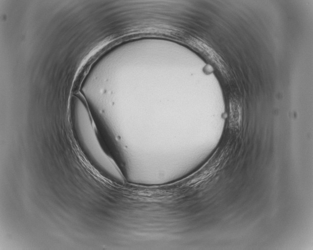 X0000085790780200704131853