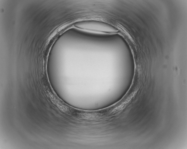 X0000085790781200704131853