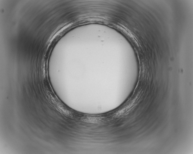 X0000085790782200704131853