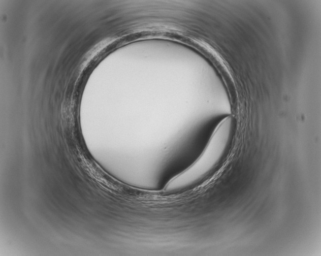 X0000085790783200704131853