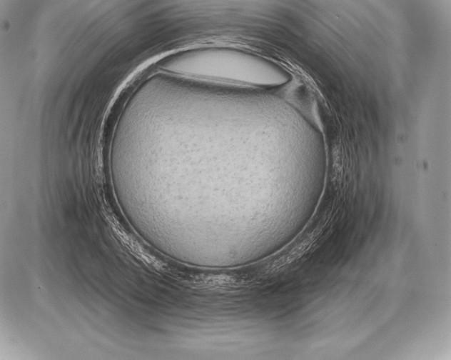 X0000085790784200704131853