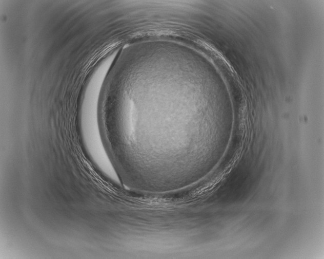 X0000085790785200704131853