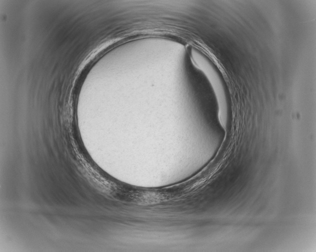 X0000085790787200704131853
