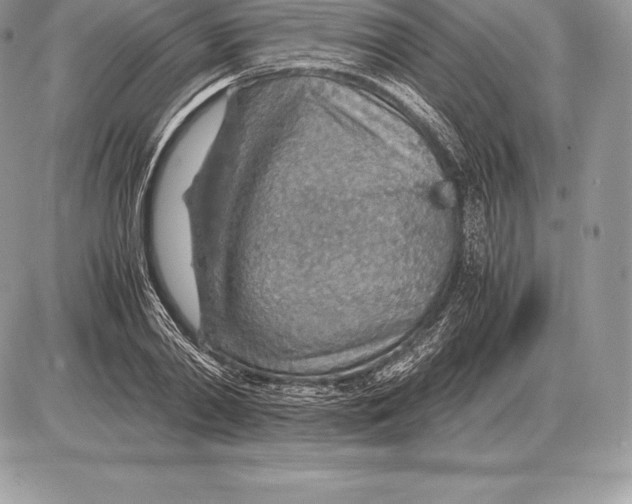 X0000085790790200704131853