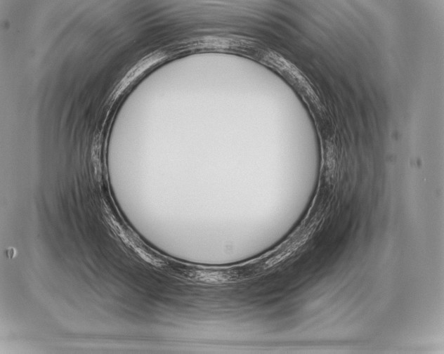 X0000085790794200704131853