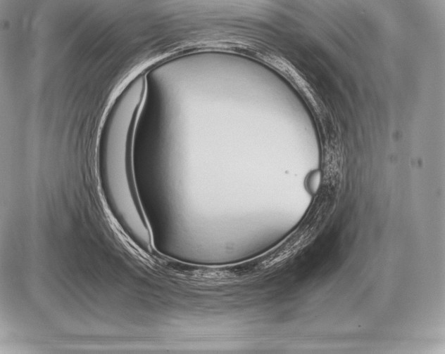 X0000085790795200704131853