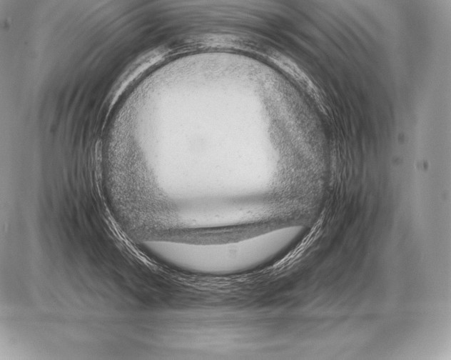 X0000085790798200704131853