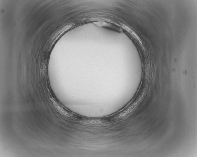 X0000085790801200704131853