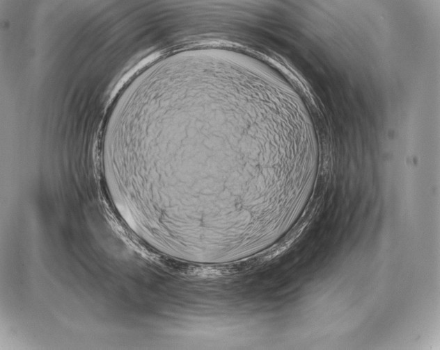 X0000085790806200704131853