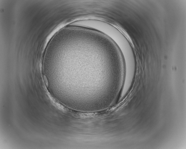 X0000085790813200704131853