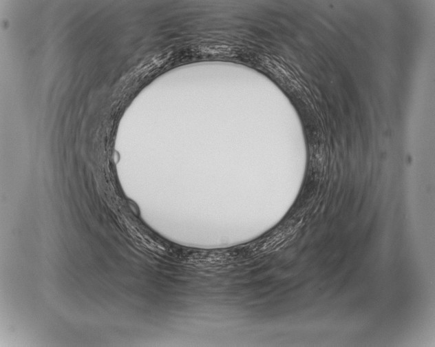 X0000085790817200704131852