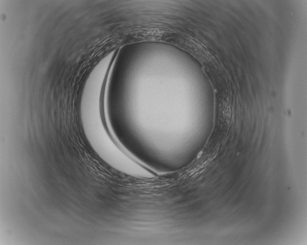 X0000085790818200704131852