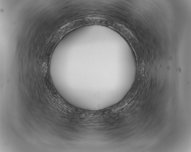 X0000085790821200704131852