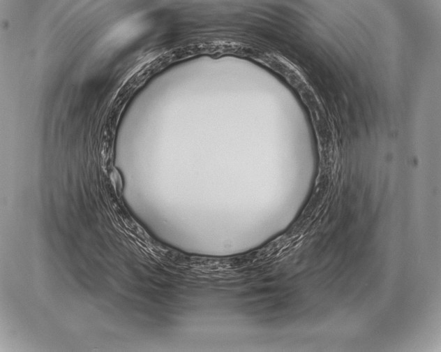 X0000085790823200704131852