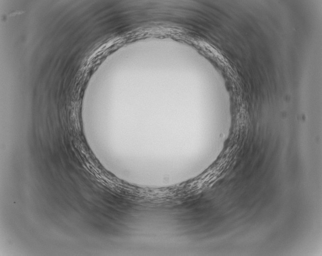 X0000085790824200704131852