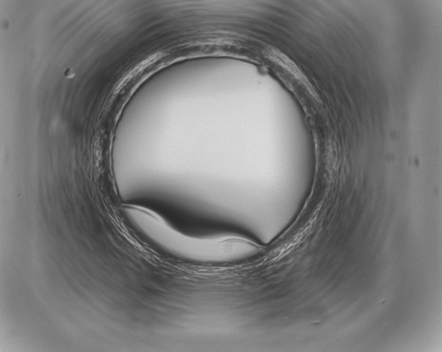X0000085790826200704131852
