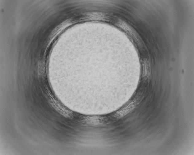 X0000085790828200704131852