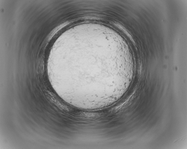 X0000085790829200704131852