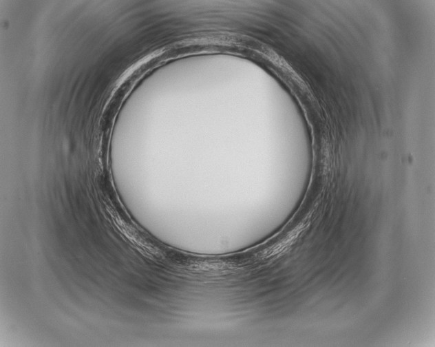 X0000085790830200704131852
