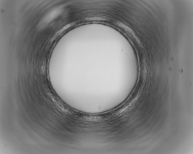 X0000085790833200704131852