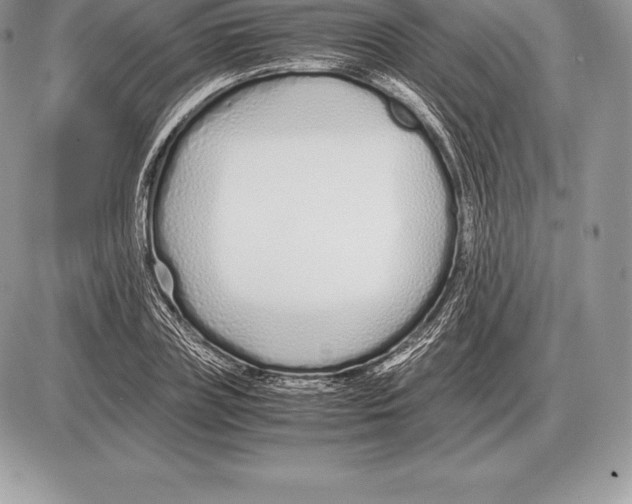 X0000085790835200704131852