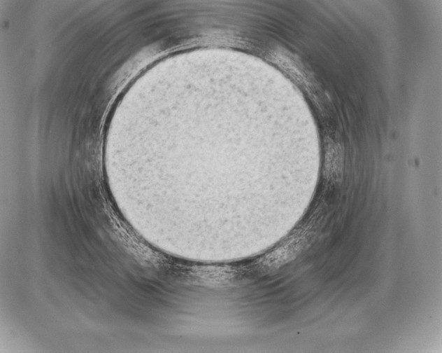 X0000085790836200704131852