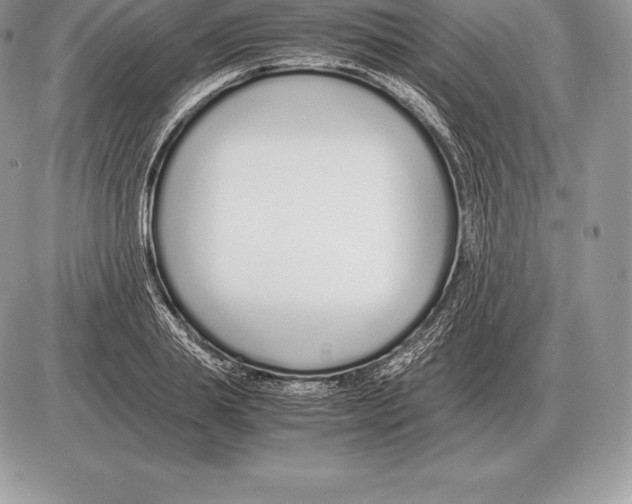 X0000085790839200704131852