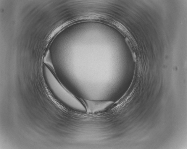 X0000085790842200704131852