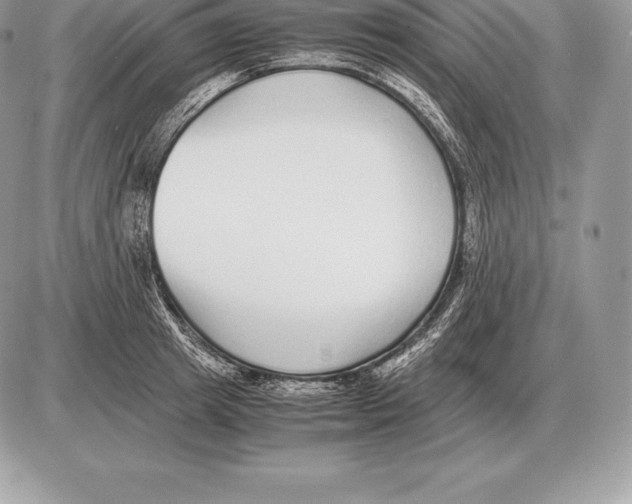 X0000085790849200704131853