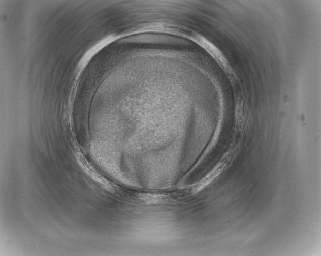 X0000085790854200704131853