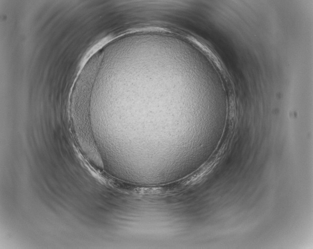 X0000085790858200704131853