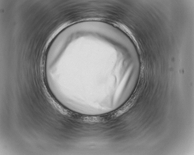 X0000085790859200704131853