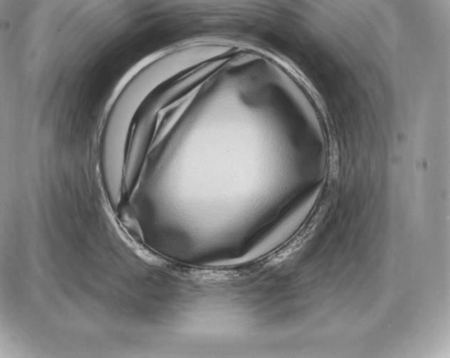 X0000085790862200704131853