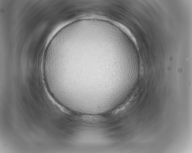 X0000085790863200704131853