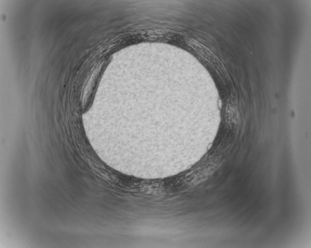 X0000085790865200704131852