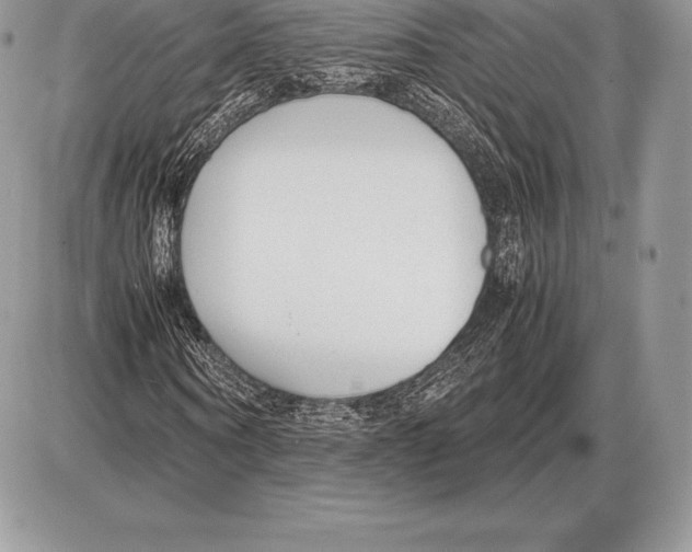 X0000085790866200704131852