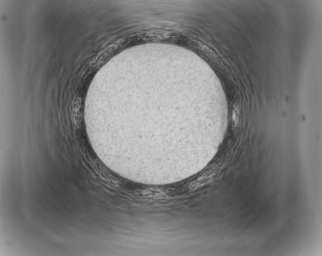 X0000085790867200704131852