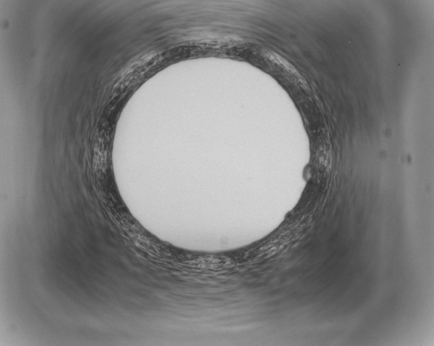 X0000085790869200704131852