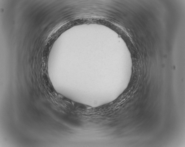 X0000085790871200704131852