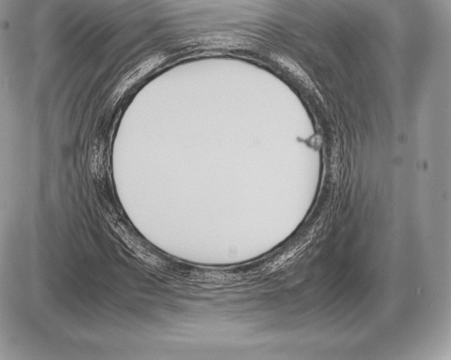 X0000085790873200704131852