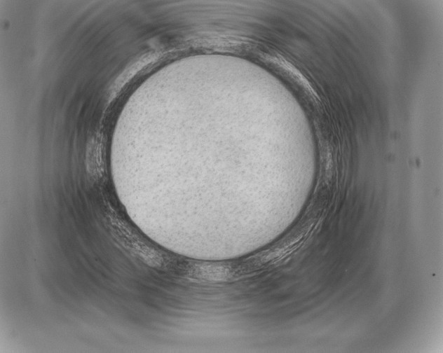 X0000085790878200704131852